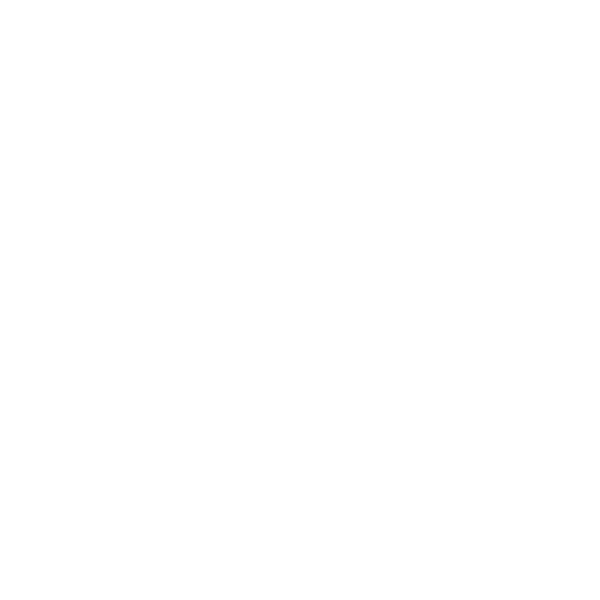 VIORA